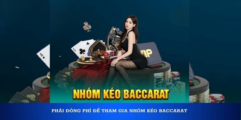 So sánh giữa nhóm kéo Baccarat và chơi độc lập