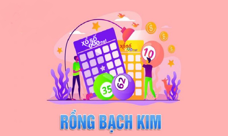 Hướng Dẫn Soi Cầu Rồng Bạch Kim 247 Bước Đầu