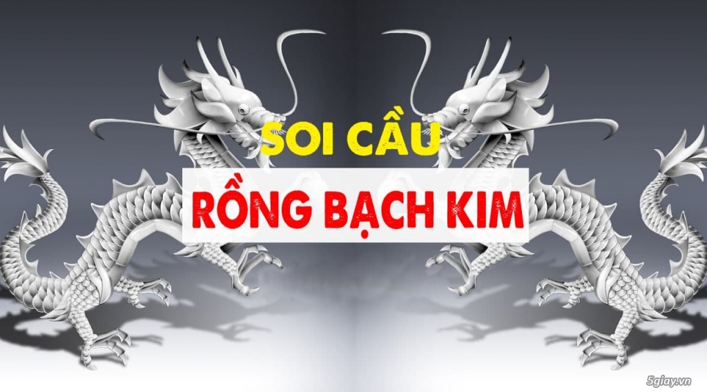 Lịch sử và nguồn gốc xổ số rồng bạch kim