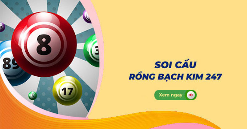 Tại Sao Rồng Bạch Kim 247 Là Sự Lựa Chọn Hàng Đầu?